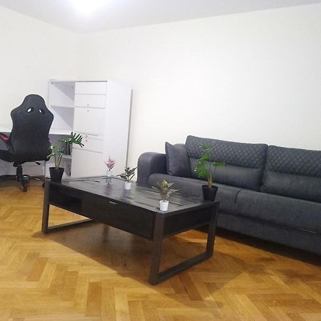 Charming Flat Center And Near The Lake ジュネーブ エクステリア 写真