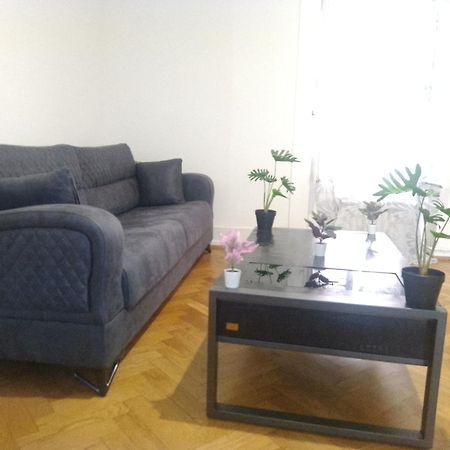 Charming Flat Center And Near The Lake ジュネーブ エクステリア 写真