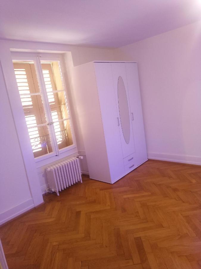Charming Flat Center And Near The Lake ジュネーブ エクステリア 写真