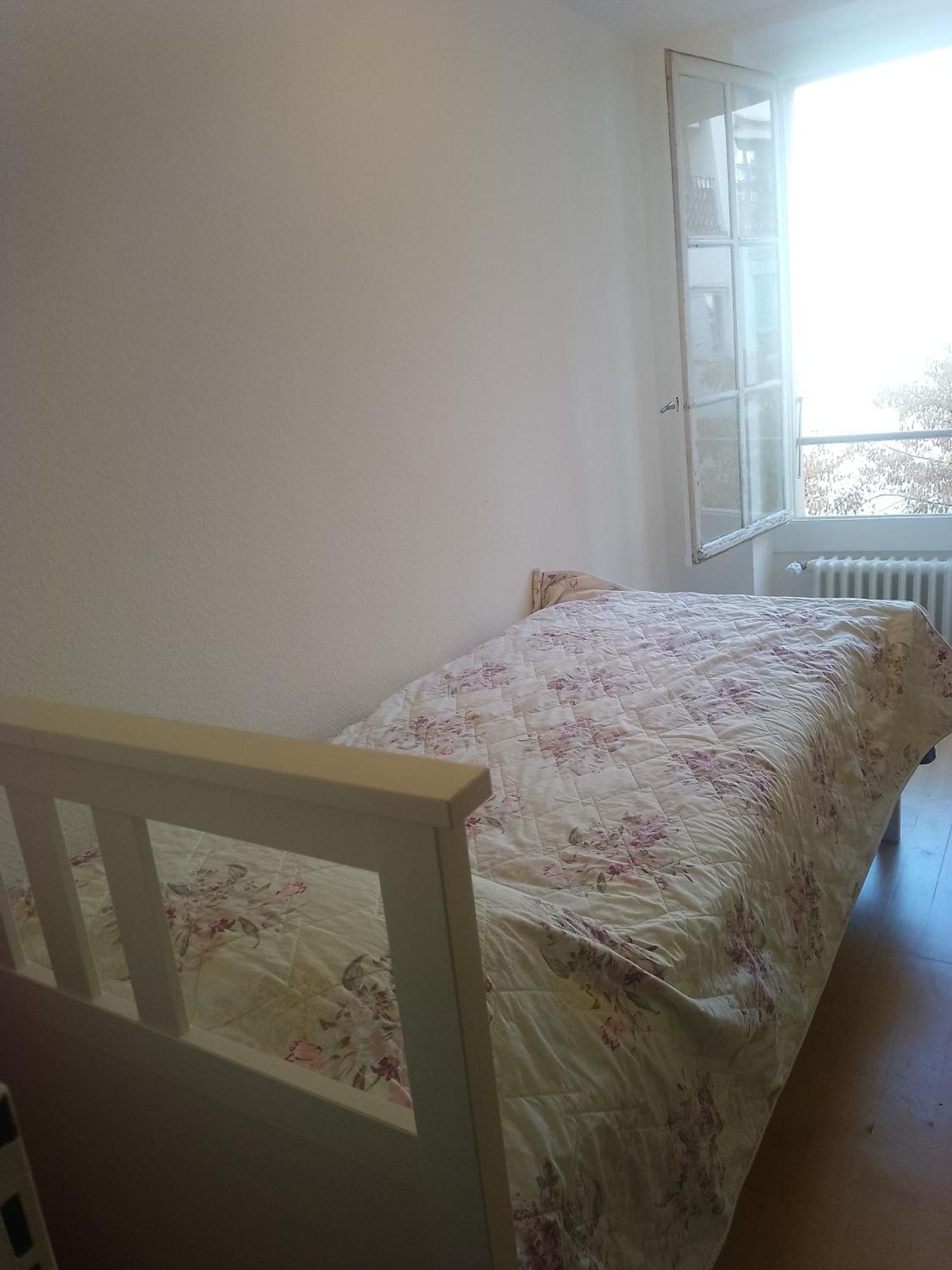 Charming Flat Center And Near The Lake ジュネーブ エクステリア 写真