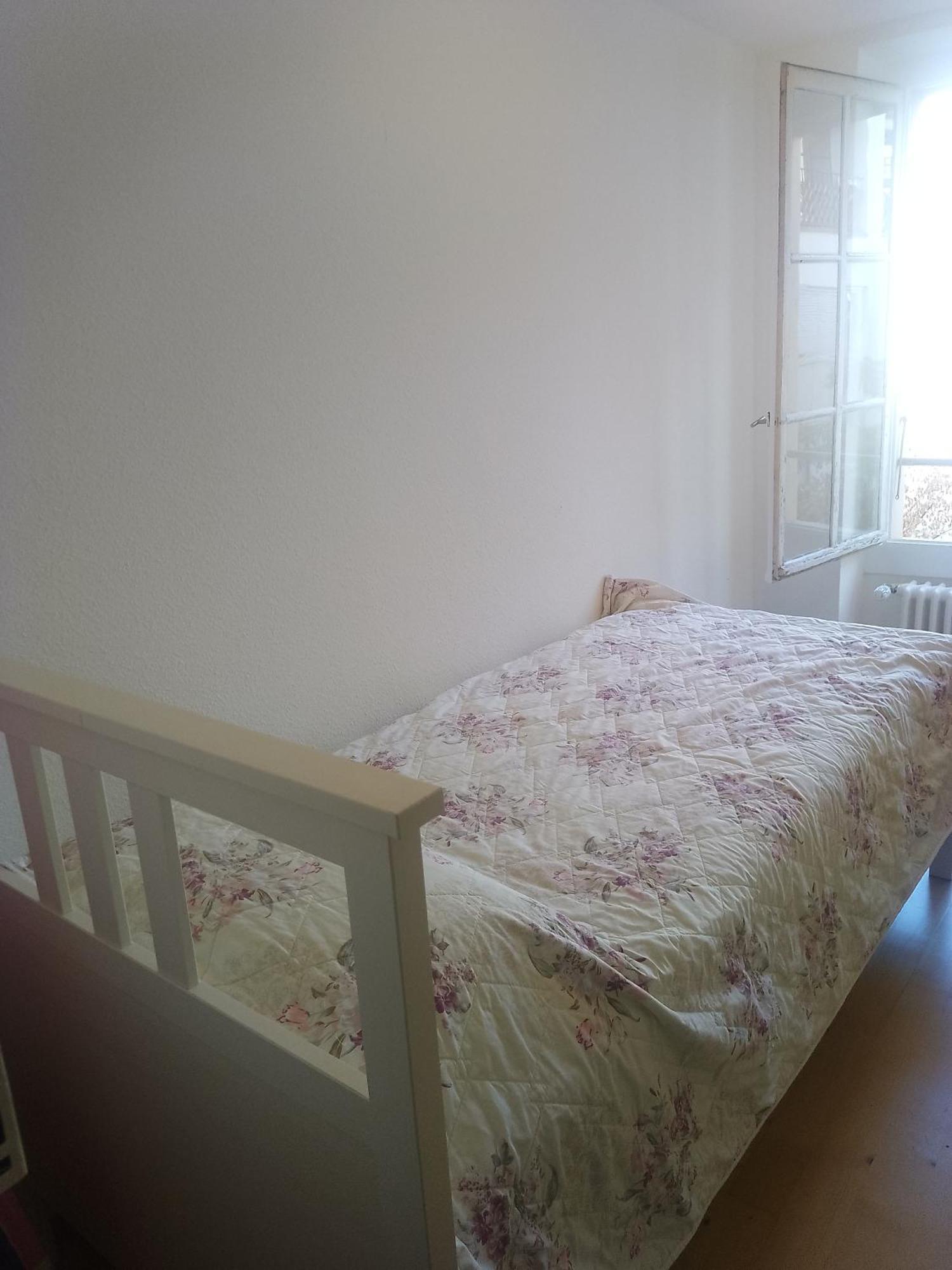 Charming Flat Center And Near The Lake ジュネーブ エクステリア 写真