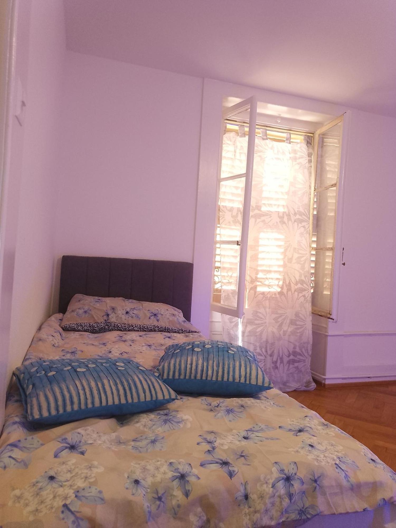 Charming Flat Center And Near The Lake ジュネーブ エクステリア 写真