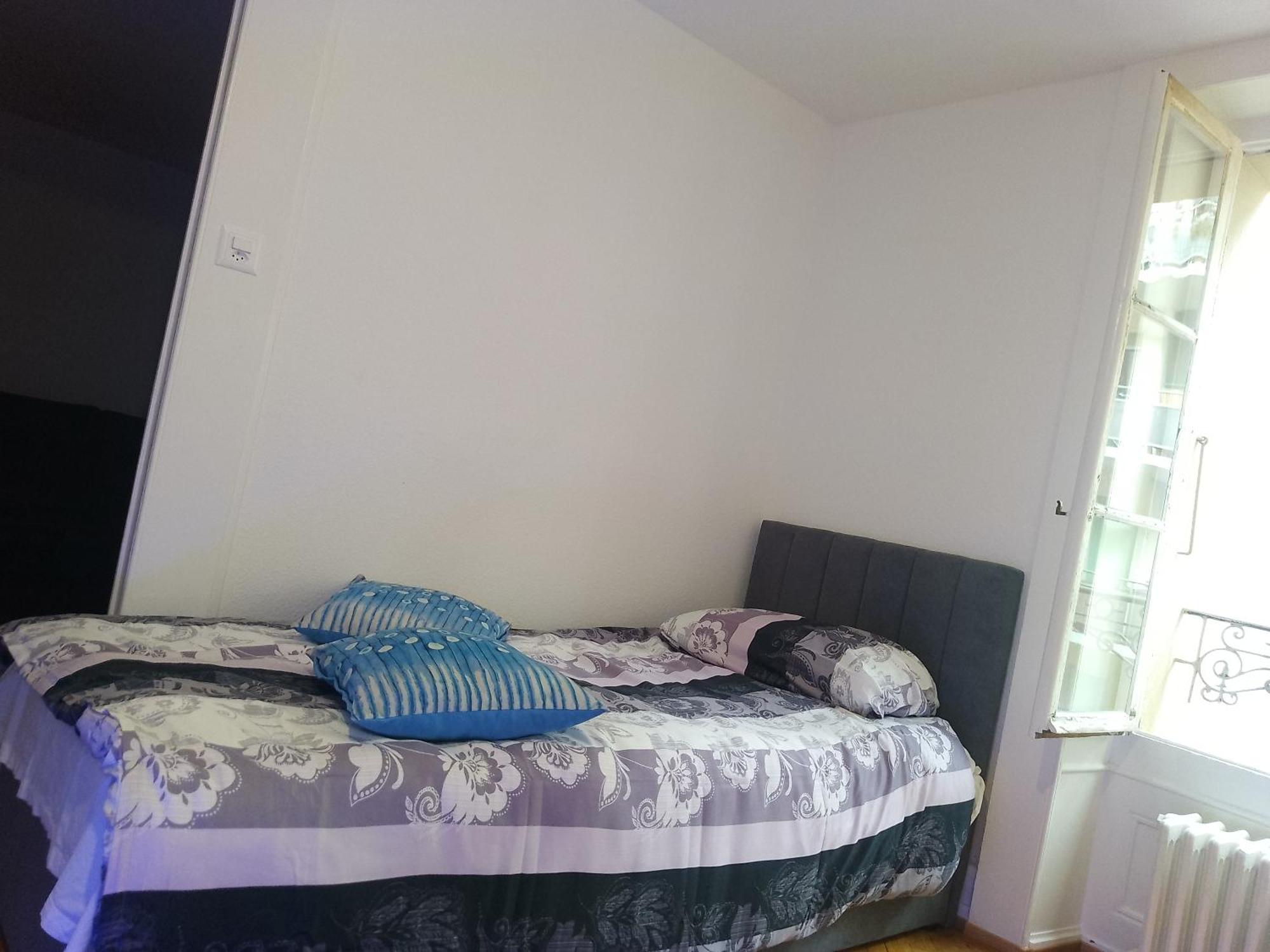 Charming Flat Center And Near The Lake ジュネーブ エクステリア 写真
